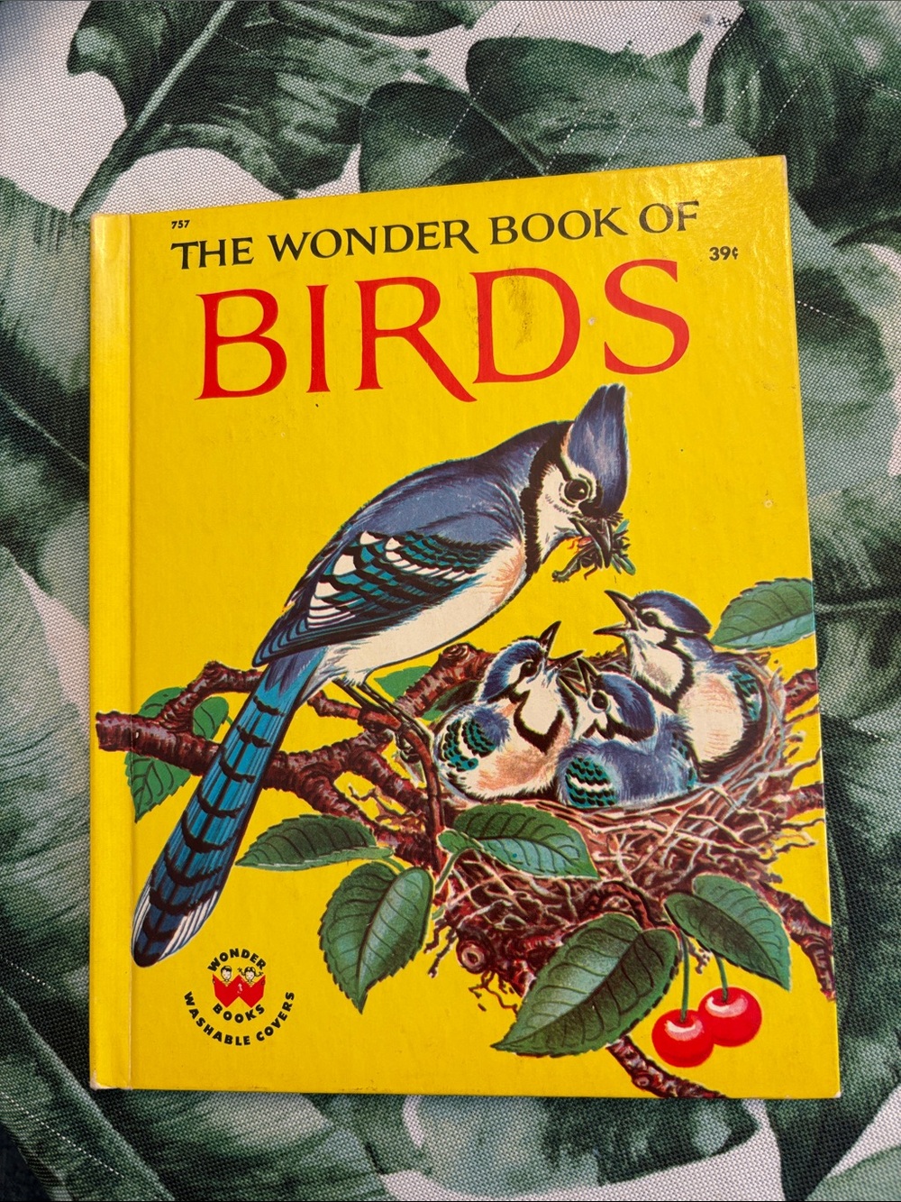 1961 The Wonder Book of Birds - Yellow Cover